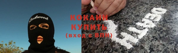 тгк Алзамай