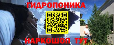 прущие крисы Новокубанск